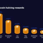 bitcoin halving